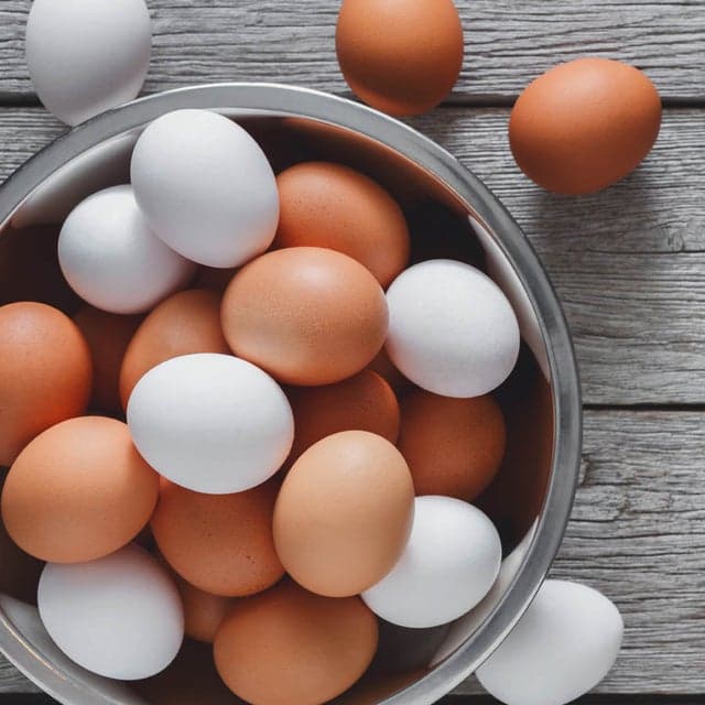 Eggs — 1876 Heritage Farms